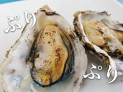 【広島 グルメ】宮島でぷりぷりの新鮮焼き牡蠣をその場でいただける!佐久間海産商会