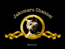 ただ、かわいいだけ!なにも起こらない猫動画 じゃこ丸がYOUTUBERになったよ